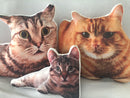 Create A Custom Cat Pillow - Dream A Pillow